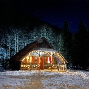 Cottage in the wild Pješčanica Kolašin